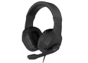 Genesis Argon 200 - Stereo PC Gaming Headset - Zwart