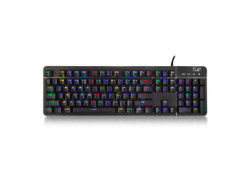 Ewent PL3350 toetsenbord USB QWERTY Engels Zwart/ RGB