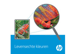 HP No.117A Magenta 700 pagina`s (Origineel)