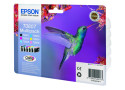 Epson T0807 Multipack 44,4ml (Origineel) hummingbird