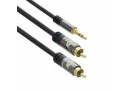 ACT AC3605 audio kabel 1,5 m 2 x RCA 3.5mm Zwart