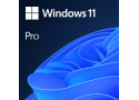 OS Microsoft Windows 11 Pro 64bit DVD OEM