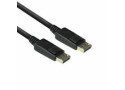 ACT DisplayPort cable 2.0 Meter