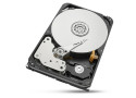 20,0TB Seagate IronWolf Pro NAS 256MB/7200rpm