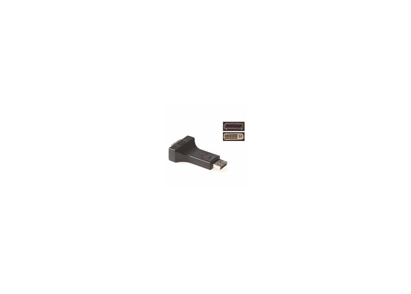 ACT Verloop adapter DisplayPort male naar DVI female