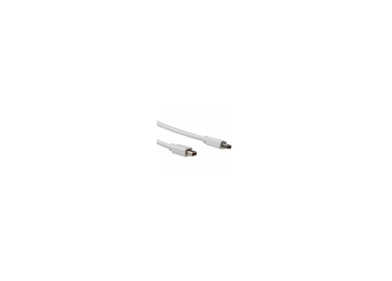 ACT 1 meter Mini DisplayPort kabel, male - male