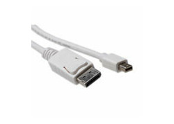 ACT 1 meter Verloopkabel Mini DisplayPort male naar DisplayPort male