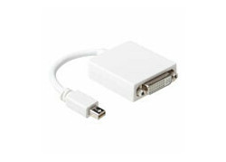 ACT 15 cm Verloop kabel Mini DisplayPort male naar DVI female