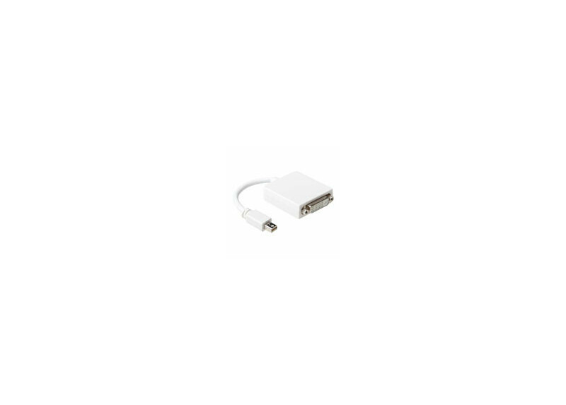 ACT 15 cm Verloop kabel Mini DisplayPort male naar DVI female