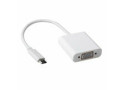 ACT USB type C naar VGA converter