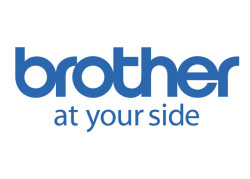 Brother HL-L2400DWE MONO / WLAN / Zwart