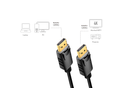 DisplayPort 1.2 --> DisplayPort 1.00m 4K/60Hz LogiLink