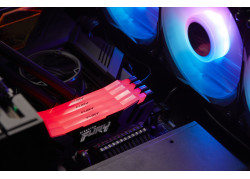 16GB DDR5/7200 CL38 Kingston FURY Renegade RGB Zi-Zw