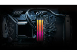 16GB DDR5/7200 CL38 Kingston FURY Renegade RGB Zi-Zw