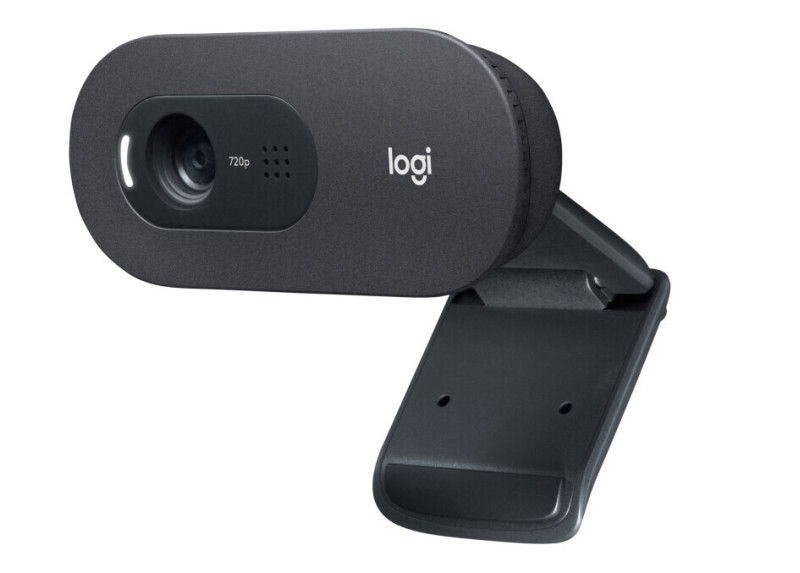 Logitech C505 HD Webcam