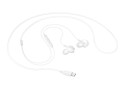 Samsung EO-IC100 Headset Bedraad In-ear Oproepen/muziek USB Type-C Wit