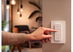 Philips Hue Dimmer Switch