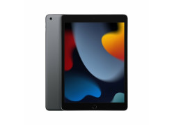 Apple iPad 256 GB 25,9 cm (10.2") Wi-Fi 5 (802.11ac) iPadOS 15 Grijs