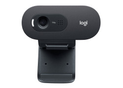 Logitech C505e webcam 1280 x 720 Pixels USB Zwart