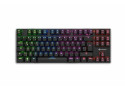 Sharkoon PureWriter TKL RGB toetsenbord USB QWERTY Amerikaans Engels Zwart