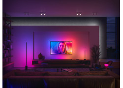 Philips Hue Gradient Signe Tafellamp White & Color Ambiance