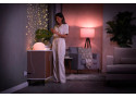 Philips Hue smart plug - EU