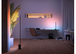 Philips Hue White and Color ambiance Signe gradient vloerlamp