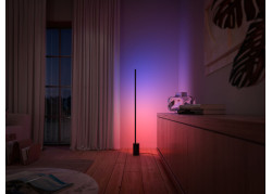 Philips Hue White and Color ambiance Signe gradient vloerlamp