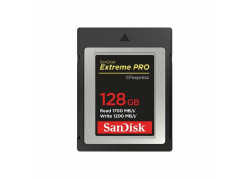 SanDisk SDCFE-128G-GN4NN flashgeheugen 128 GB CFexpress