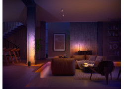 Philips Hue Gradient Signe Tafellamp White & Color Ambiance