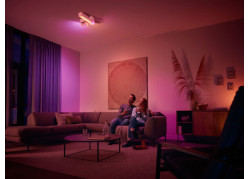 Philips Hue Dimmer Switch